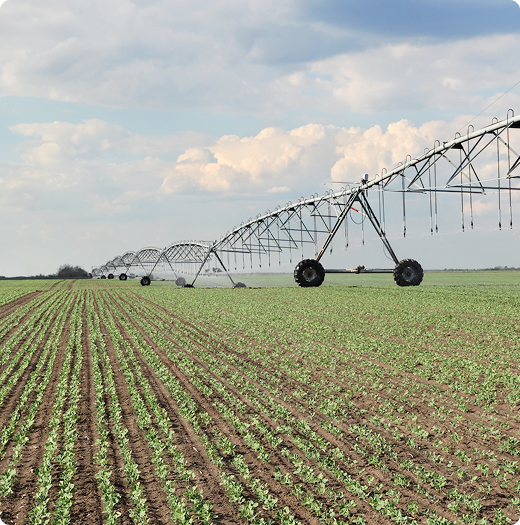 Agriculture
